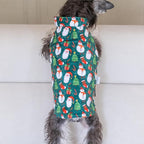 CuteBone Winter Dog Jacket - Reversible Waterproof Windproof Coat With Leash Hole - Soft, Thick, Adjustable Fits Small to Large Dogs