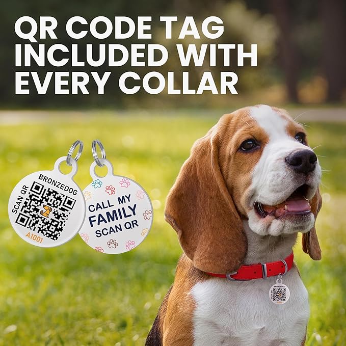 BronzeDog Rolled Leather Dog Collar with QR ID Tag, Adjustable Soft Round Collars for Small Medium Large Dogs Puppy (14" - 16" Neck Size, Coral Pink)