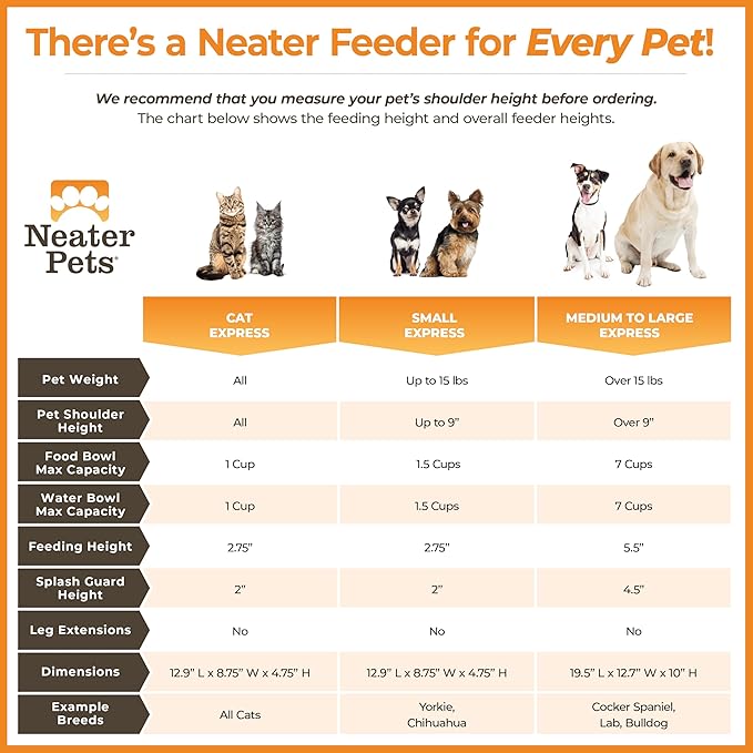 Neater Feeder Express Mess Proof Dog Bowls Elevated for Small Breeds Under 15 Lb, Made in USA, No Spill Raised Dog Food Bowl Stand, Stainless Steel Food and Water Bowl Set, Feeding Station, Black
