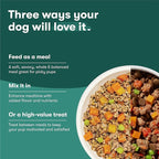 Jinx Salmon Grain Free Wet Dog Food Toppers, Meal or Mix with Dry Dog Food, Made with Real Salmon & Chicken, Bone Broth, No Fillers, Puppy, Adult, Senior, 9oz, 6 Pack