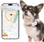 Pawfit Lite for Small Dogs 4g GPS Tracker | Real Time Tracking | Activity Monitoring |Location History | Unlimited Range | Charcoal Grey