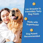 Fruitables Baked Dog Treats, Pumpkin Snacks for Dogs, Low Calorie & Delicious, No Wheat, Corn or Soy, Healthy Puppy Training Treats, Made in The USA, Pumpkin and Blueberry Flavor, 20oz