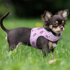 Mile High Life Dog Harness, Air Mesh Floral Vest Harness for 20 lbs Small Dogs & Cats, Easy Get on Adjustable Easy Closures Both Neck and Chest (Purple Flower, S Chest 16"-18")