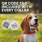 BronzeDog Rolled Leather Dog Collar with QR ID Tag, Adjustable Soft Round Collars for Small Medium Large Dogs Puppy (9" - 11" Neck Size, Turquoise)