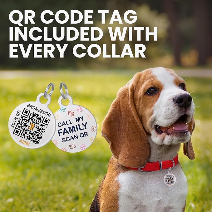 BronzeDog Rolled Leather Dog Collar with QR ID Tag, Adjustable Soft Round Collars for Small Medium Large Dogs Puppy (9" - 11" Neck Size, Mustard)