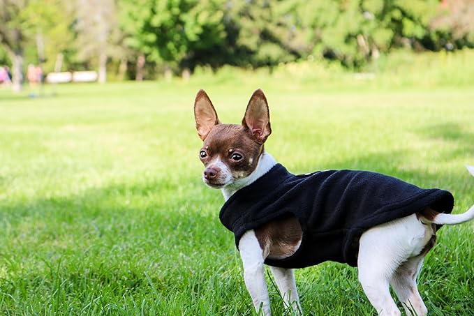 JACKO & CO - Fleece Vest Dog Sweater with Leash Ring - Soft, Warm & Lightweight Pullover Coat for Small & Medium Dogs, Puppies & Cats - Cozy Fall/Winter/Spring Pet Jacket (Black, XS 2-4lbs)