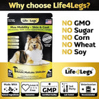 Soft Chews Hip and Joint Supplement for Dogs - Dog Joint Pain Relief Treats - Glucosamine, Chondroitin, Turmeric - Mobility Supplement (Bacon - 30 Soft Chews)