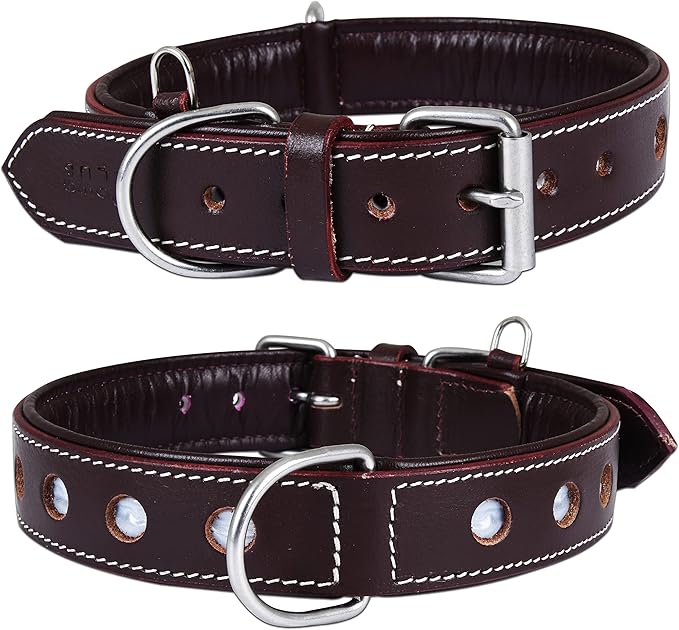 | Genuine Leather Dog Collar | Full Grain, Heavy Duty | Comfortable, Padded, Strong | Best for Pups, Small, Medium, Large & XL Breeds (Large (Fit Neck Size 18.5"-22.5"), Garnet)