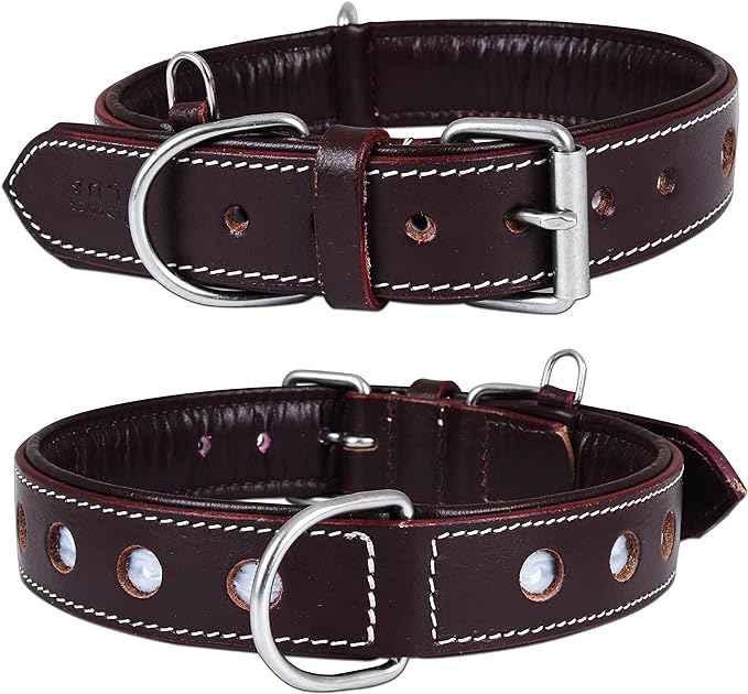 | Genuine Leather Dog Collar | Full Grain, Heavy Duty | Comfortable, Padded, Strong | Best for Pups, Small, Medium, Large & XL Breeds (Small (Fit Neck Size 11.5"-14.5"), Garnet)