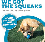 Outward Hound by Planet Dog Squeak Ball Bouncy Fetch Dog Toy, Blue