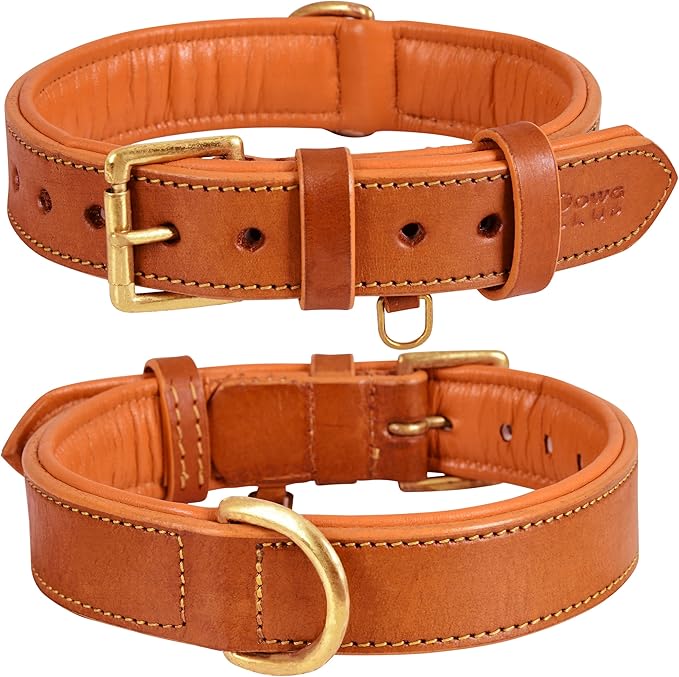 Genuine Leather Dog Collar | Full Grain, Heavy Duty, Comfortable, Padded, Strong | Best for Pups, Small, Medium, Large & XL Breeds (Small (Fit Neck Size 11.5"-14.5"), Tangerine Orange)