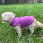 JACKO & CO - Fleece Vest Dog Sweater with Leash Ring - Soft, Warm & Lightweight Pullover Coat for Small & Medium Dogs, Puppies & Cats - Cozy Fall/Winter/Spring Pet Jacket (Purple, Large 10-16lbs)