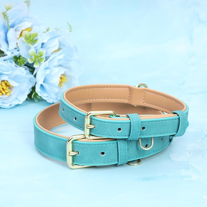 Leather Dog Collar for Small Medium Large Dogs, Soft Padded Dog Leather Collar with Heavy Duty Gold Buckle, Durable & Comfortable for Large Dogs Daily Walking (Teal, L)