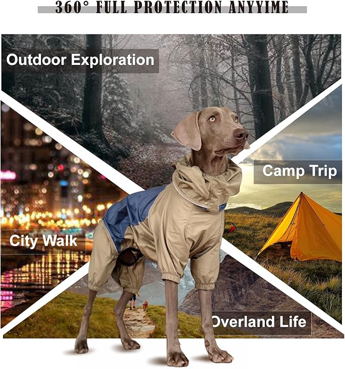Dog Lightweight Windbreaker, Pet Outdoor Sports Jacket, 0.5 lbs,3 in One, Hooded, Easy on/Off with Collar and Harness, Reflective Piping, Packable, Dog Hiking/Camping, Navy Blue (Medium)