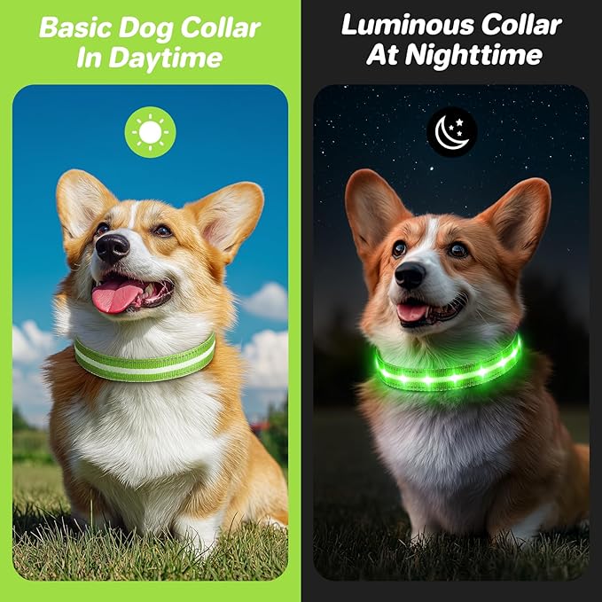 PcEoTllar Light Up Dog Collars, Led Dog Collar, Rechargeable, Night Walking, Waterproof, Glow in The Dark Dog Collars Light for Large Small Medium Dogs, Green s