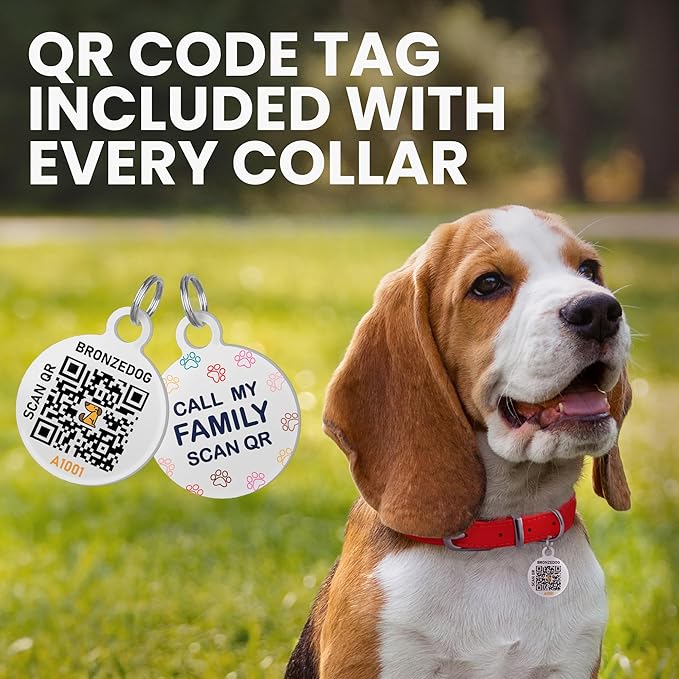 BRONZEDOG Rolled Leather Dog Collar for Small Medium Large Dogs with QR ID Tag (M: 14-16 Inch, Powder Pink)