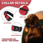 DOGWONG LED Dog Collar - Heavy Duty Light up Collars - Rechargeable Waterproof - Lighted Dog Collar for Night Walking, Hiking, Camping(Red,M)