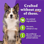 Halo Holistic Vegan Wet Dog Food, Plant-Based Recipe, Canned Dog Food, Complete Digestive Health, Adult Dogs, 5.5 Oz Can (Pack of 12)