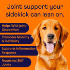 Finn Hip and Joint Supplement for Dogs | Glucosamine, Chondroitin & MSM for Joint and Mobility Support | with Turmeric, BioPerine and B-Vitamins | 90 Soft Chews