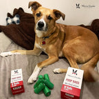 Warren London Dog Poop Bags | Leak-Proof Pet Waste Bags | Earth Friendly with Recycled Packaging | Unscented 9x13 Inch | 8 Rolls (120 Count) for All Dog Breeds