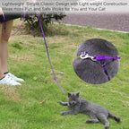 AMAGOOD 6 FT Cat Leash, Strong and Durable Traditional Style Leash with Easy to Use Collar Hook,Cat Lead Great for Cats (3/8 in x 6 ft,Black and Pruple(2-Pack))