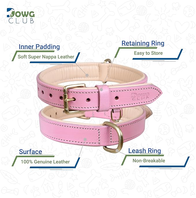 Leather Dog Collar for Large Dogs, Light Pink, 1.25 Inch, WideGenuine Leather, Heavy Duty with Soft Inner Padding, Comfortable and Durable (Blush Pink, Large (Fit Neck Size 18.5"-22.5"))