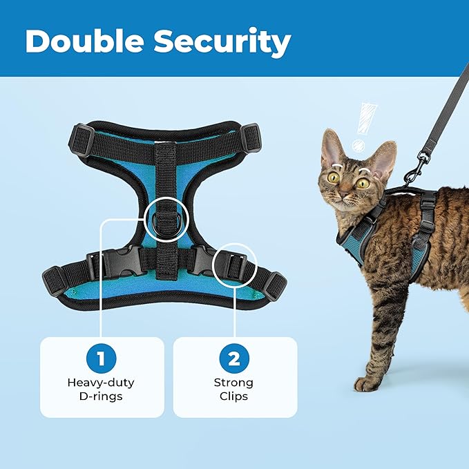 Voyager Escape Proof Cat Harness and Leash Set with Reflective Stitching, Neoprene Handle 5ft - Supports Small, Medium and Large Cats, Kittens for Walking by Best Pet Supplies - BT-Turquoise, XXXS