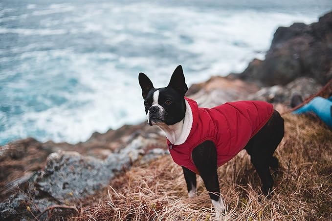 Fleece Hoodie for Dogs - Windproof Waterproof Coat, Winter Warm Jacket, Cold Weather Pet Apparel Clothes Vest for Small Medium Large Dogs (XS, Red)