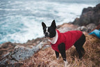 Fleece Hoodie for Dogs - Windproof Waterproof Coat, Winter Warm Jacket, Cold Weather Pet Apparel Clothes Vest for Small Medium Large Dogs (XS, Red)