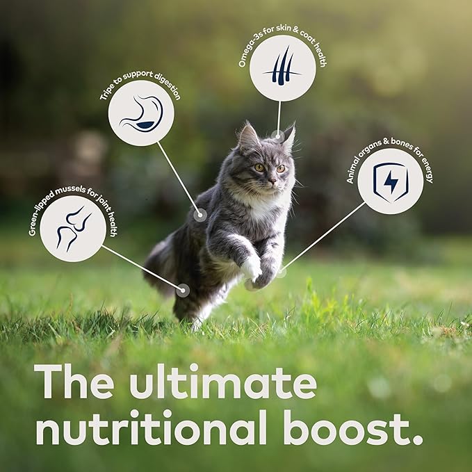 ZIWI Peak Wet Cat Food – All Natural, High Protein, Grain Free, Limited Ingredient, with Superfoods (Rabbit & Lamb, Case of 6, 3oz Cans)
