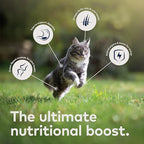 ZIWI Peak Wet Cat Food Variety Pack - Chicken, Mackerel & Lamb, and Lamb, 6 Pack (3oz Each)