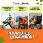 Bully Sticks for Large Dogs, (6 Inch, 5 Count), Dog Chew Toy for Aggressive Chewers Single Ingredient, 100% Beef Pizzle, Grass-Fed, Rawhide-Free, Grain-Free