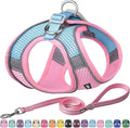 AIITLE No Pull Dog Harness and Leash Set, Step in Adjustable Dog Harness with Padded Vest for All Weather, Dog Leash with Soft Padded Handle, Easy to Put on Small and Medium Dogs Pink S