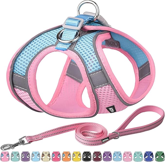 AIITLE Step in Dog Harness and Leash Set - Summer No Pull Escape Proof Vest Harnesses with Soft Mesh and Reflective Bands, Adjustable Pet Outdoor Harnesses for Small and Medium Dogs Pink M