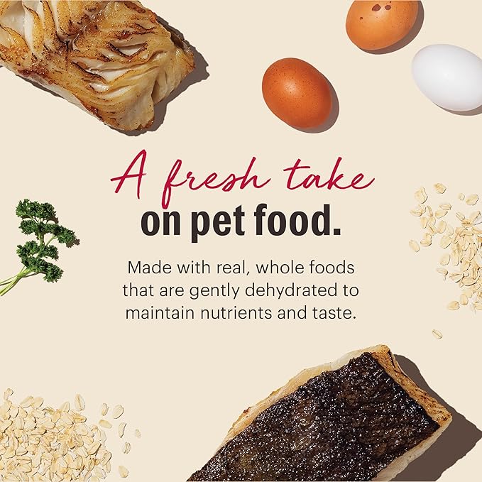 The Honest Kitchen Wholemade™ Whole Grain Fish & Oats Dog Food, 10 lb Box