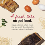 The Honest Kitchen Wholemade™ Whole Grain Fish & Oats Dog Food, 10 lb Box