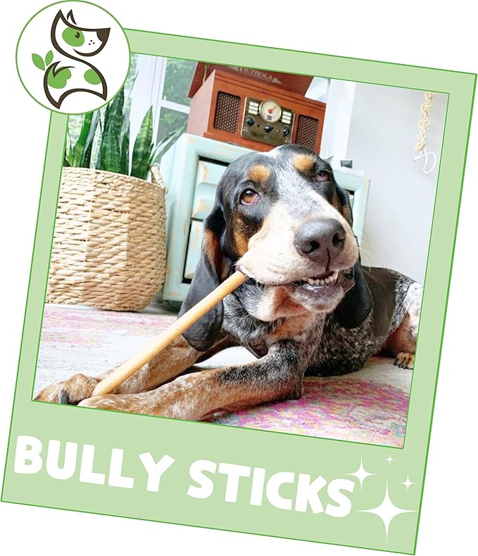 Gnaws Nature Bully Sticks for Dogs 11-12" (1Lb) - Mixed Thickness - Long Lasting for Aggressive Chewers and Large Dogs - Natural Beef Dog Chew Bones