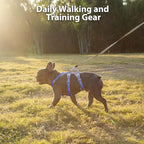 Huntboo Escape Proof Harness for Dogs, No Escape Dog Harness, No Pull Dog Harness for Small Dogs with Handle, Reflective, Breathable,Durable, Adjustable Vest for Walking,and Running Gear(Vista Blue,S)