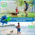 QDAN Dog Toy Balls, Dog Soccer Ball with Straps, Outdoor Dog Toys, Pet Training Soccer for Medium Large (6 Inch)