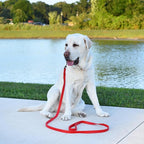 Dogline Biothane Waterproof Dog Leash Strong Coated Nylon Webbing with Black Hardware Odor-Proof Easy to Clean High Performance for Small or Large Dogs Made in USA 4 or 6 ft Lead, Cherry Red