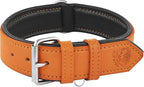 Riparo Leather Dog Collar, Large Dog Collar, Padded Heavy Duty Dog Collar with Dog Tag Holder, Orange Dog Collar (XL, Orange)