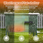 BRIOPAWS Outdoor-Cat-House-Insulated | Feral-Cat-Shelter for Winter | Weatherproof | Large Wooden Pet House for Multiple Cats | Foldable Ladder | Acrylic Side Window | Green
