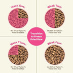 Pupford Good Dog Food, Freeze-Dried Raw, High-Protein, Superfood Ingredients, Vet-Approved, No Fillers or Artificial Additives (Lamb & Salmon Recipe, 16 oz)
