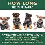 EcoEars Dog Ear Cleaner Solution–8 Oz. Natural Dog Ear Multi-Action Formula for Large or Small Canines – Ear Drops to Alleviate Itchy Ears, Shaking, & Otic Discharge–Puppy Supplies by Vet Organics 2pk