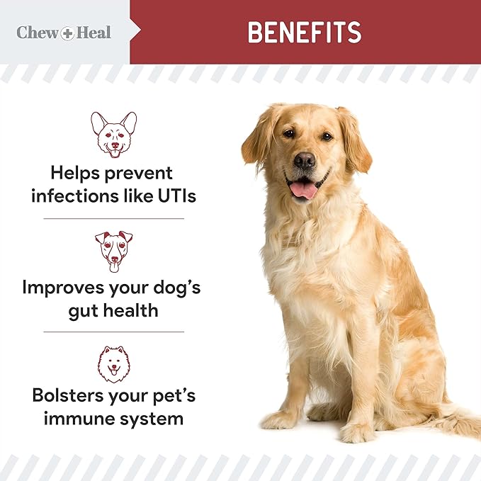 Dog UTI Treatment Cranberry Supplement for Dogs, 120 Soft Chews - Natural Urinary Tract Infection Support and Healthy Bladder Control – Made with Echinacea and Vitamin C