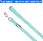 Pawtitas 6 FT Dog Leash - Reflective, Comfortable Handle, Heavy Duty Training Leash, Small Dog, Teal