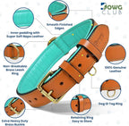 Genuine Leather Dog Collar | Full Grain, Heavy Duty, Comfortable, Padded, Strong | Best for Pups, Small, Medium, Large & XL Breeds (Small (Fit Neck Size 11.5"-14.5"), Tan)