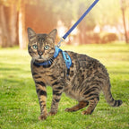 PUPTECK Cat Harness and Leash Set Escape Proof, Reflective Adjustable Soft Mesh Kitten Vest Harness for Walking Travel, Blue, S