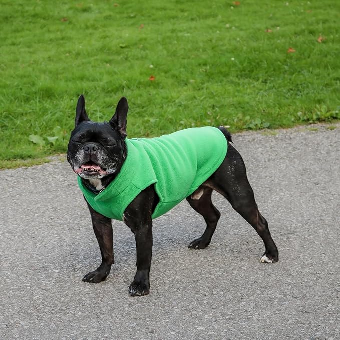JACKO & CO - Fleece Vest Dog Sweater with Leash Ring - Soft, Warm & Lightweight Pullover Coat for Small & Medium Dogs, Puppies & Cats - Cozy Fall/Winter/Spring Pet Jacket (Green, Medium 6-10lbs)
