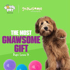 Gnawsome 4.5” Spiky Squeak & Light Ball Dog Toy - Extra Large, Cleans teeth and Promotes Dental and Gum Health for Your Pet, Colors will vary, All Breed Sizes